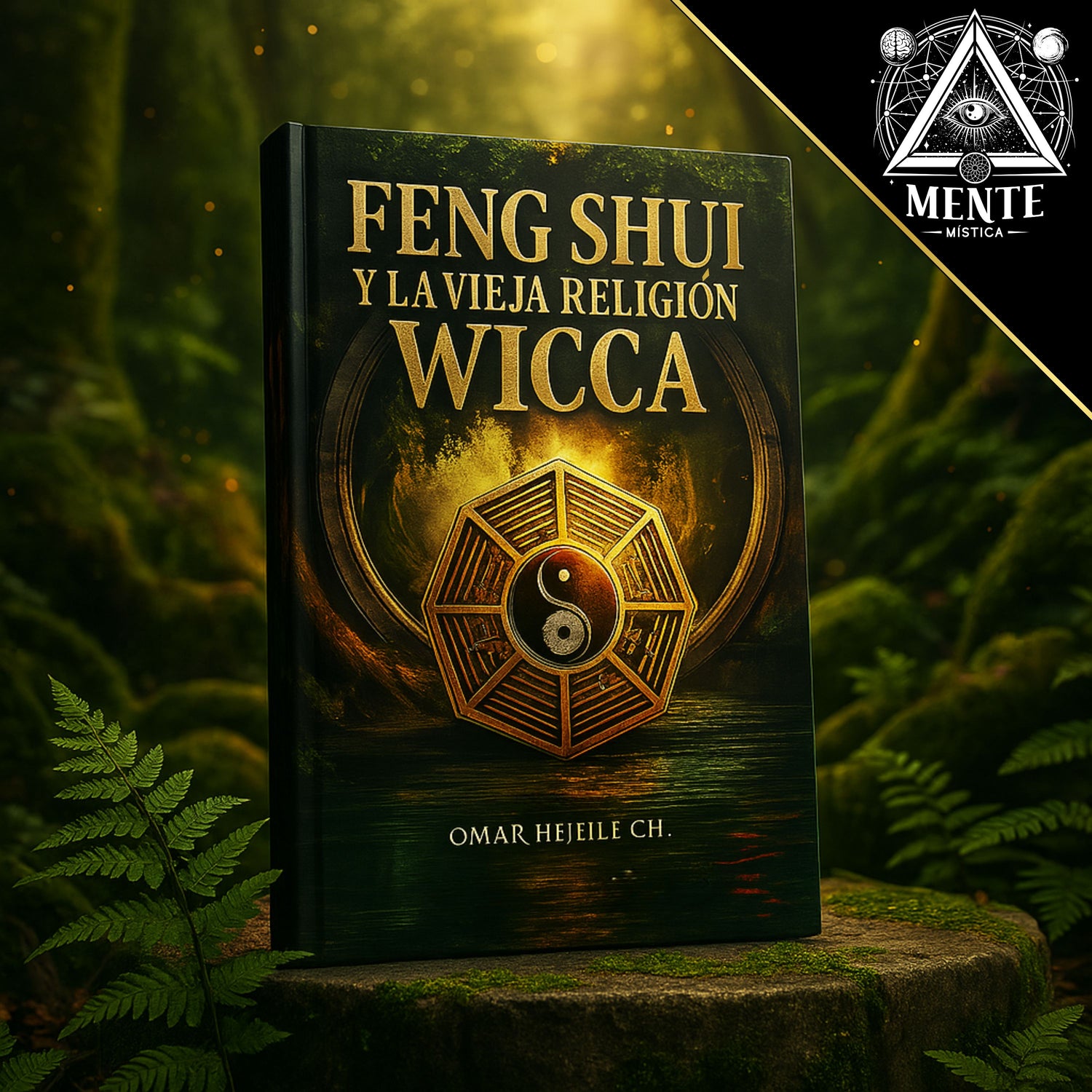 Book Feng Shui and the Old Wiccan Religion
